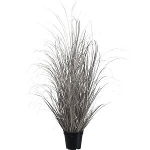 Gasper, Gasper Kunstpflanzen Gras im Topf, Champagner H: 93 cm  | Schubiger Möbel