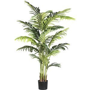 Gasper, Gasper Kunstpflanze Kentiapalme H: 160 cm  | Schubiger Möbel