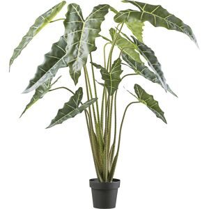 Gasper, Gasper Kunstpflanzen Alocasia Zebrina Sarian im Kunststofftopf H: 160 c  | Schubiger Möbel