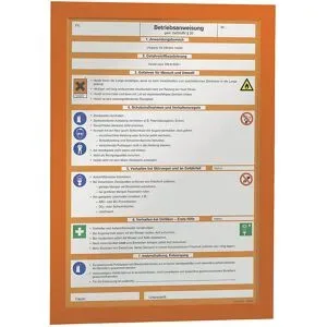 DURABLE, Durable Inforahmen Duraframe, DIN A4, 10 Stück, orange
