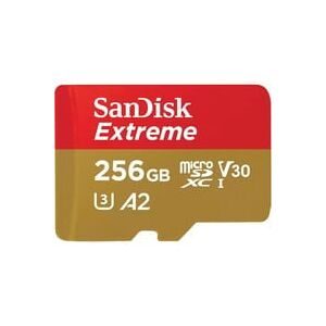 SanDisk, SANDISK Extreme microSD Card 256GB Speicherkarte – Speicherkarte/SD Karte/MicroSD Karte