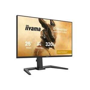 Iiyama, Iiyama G-MASTER Gaming Monitor EEK E (A - G) 62.2 cm (24.5 Zoll) 1920 x 1080 Pixel 16:9 0.4 ms DisplayPort IPS LED