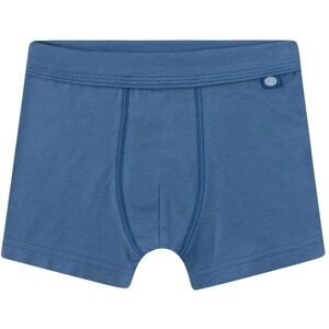 Sanetta, 2er-Pack Boxershorts Dinos