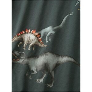 Name It, Shirt langarm Dinos