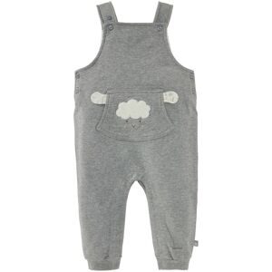Bornino, 2-tlg. Set Latzhose und Shirt langarm Schaf