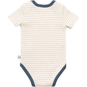 Bornino, 3er-Pack Bodys kurzarm On the road