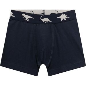 Sanetta, 2er-Pack Boxershorts Dinos
