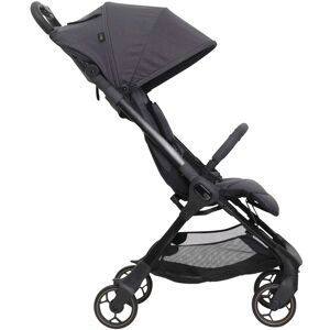 Chicco, Buggy Chicco WE 2