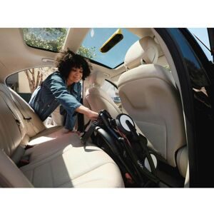 Stokke, Buggy