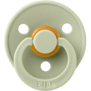 BIBS, 2er-Pack Colour Schnuller Latex, symetrisch, 0-6M
