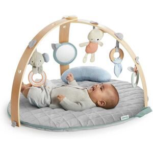 Ingenuity, ingenuity™ Cozy Spot Spieldecke mit Holzspielbogen