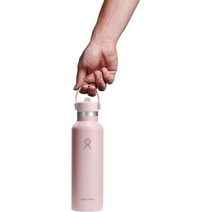 Hydroflask, Trinkflasche mit Strohhalm 621ml