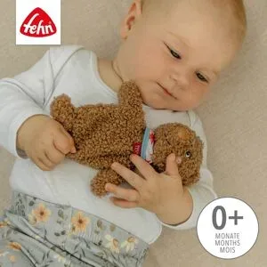 Fehn, Knister-Bär Fred