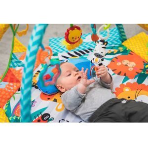 fillikid, Spielbogen mit Decke & Bällen