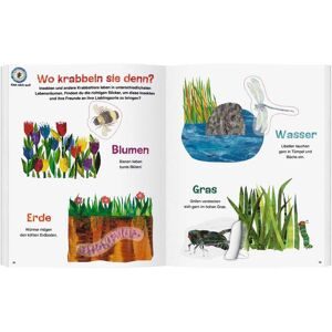 Gerstenberg Verlag, Mein Buch der Krabbeltiere - Die kleine Raupe Nimmersatt