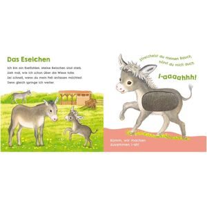 Carlsen Verlag, Mein erstes Streichel-Soundbuch 2: Hör mal wie ich miauen kann