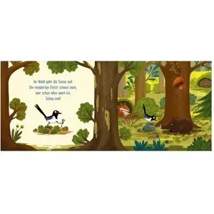 arsEdition, Pappbilderbuch Gute Nacht im Wald