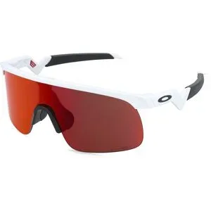 Resistor, Oakley Resistor OJ 9010 04 23