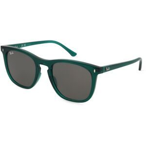 Ray Ban, Ray-Ban RB2210 6615B1 53