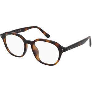 Ray Ban, Ray-Ban 0RX7259D 2012 52