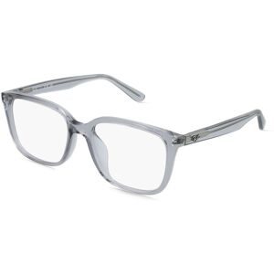 Ray Ban, Ray-Ban 0RX7248D 8411 55