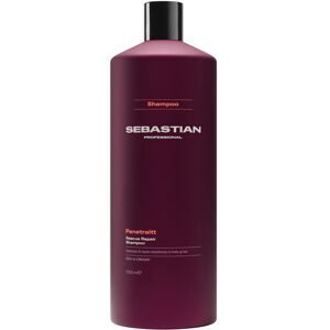 Sebastian, Sebastian Penetraitt Shampoo 1 L