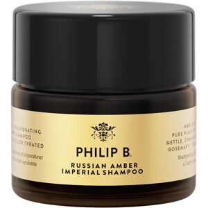 Philip B., Philip B. Russian Amber Imperial Shampoo 355 ml 88 ml