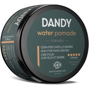 undefined, DANDY Water Pomade 100 ml