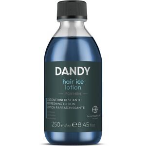 undefined, DANDY Hair Ice Lotion 250 ml