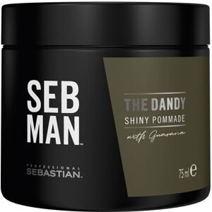 undefined, Sebastian Man The Dandy Pomade 75 ml
