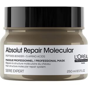 L'Oréal Professionnel, L'Or&eacute;al Serie Expert Absolut Repair Molecular Mask 250 ml