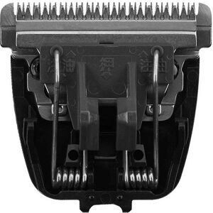 Panasonic, Panasonic Scherkopf ER-GP 21