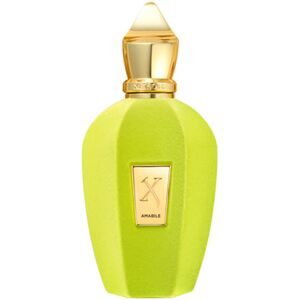 XERJOFF, Xerjoff Amabile Eau De Parfum Spray (Unisex) 100 ml
