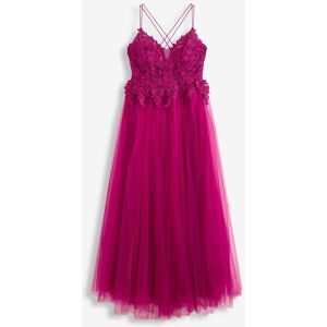 bonprix, bonprix Abendkleid für festliche Anlässe, aus Tüll mit Spitze, figurbetont, Maxi-Länge