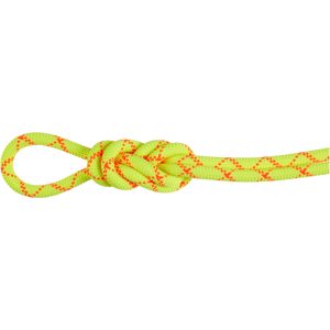 MAMMUT, Mammut 9.5 Alpine Core Protect Dry Kletterseil