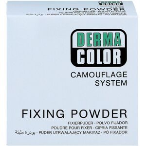 undefined, Dermacolor Camouflage Fixierpuder large P1