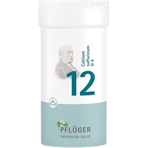 Biochemie Pflüger, Biochemie Pflüger 12 Calcium Sulfur D6 Pulver