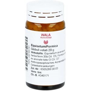 Wala, Wala Equisetum/formica Globuli