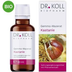 undefined, Gemmo Mazerat Kastanie Doktor koll Castanea Vesca Tro.