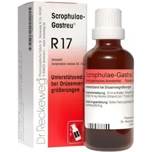 Scrophulae Gastreu R 17 Tropfen zum Einnehmen