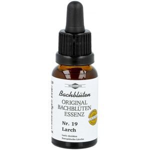 Bachblüten Murnauer Tropfen Larch