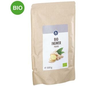 Ingwer Pulver Bio