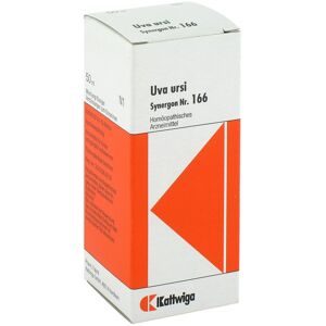 Synergon 166 Uva ursi Tropfen