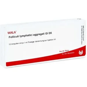 Folliculi Lymphatici aggregati Gl D5 Ampullen