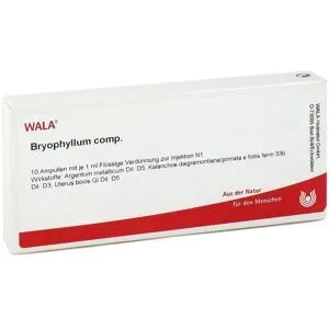 Wala Bryophyllum Comp. Ampullen