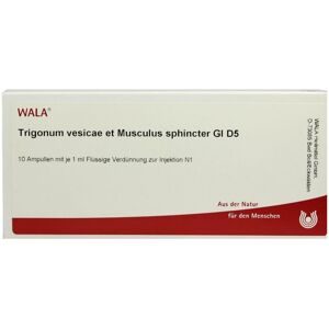 Wala Trigonum Ves.et Musc.sph.gl D5 Ampullen