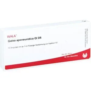 Wala Galea Aponeurotica Gl D5 Ampullen