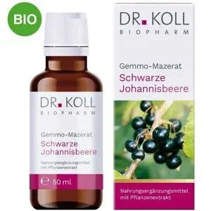 Gemmo Mazerat Schwarze Johannisbeere Doktor koll Ribes