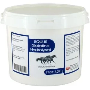 Gelatine Hydrolysat Equus Pulver veterinär