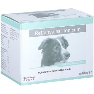 Reconvales Tonicum für Hunde